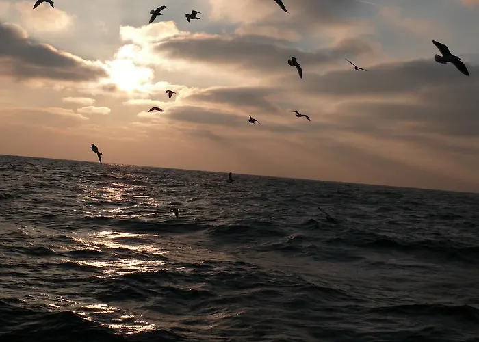 Nord-west I Restauracja Tawerna Kubryk Ustronie Morskie